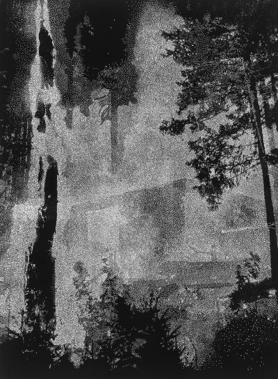 untitled (Rodung), Linocut, 75,5 x 55,5 cm, 2012, Edition of 5 + 2