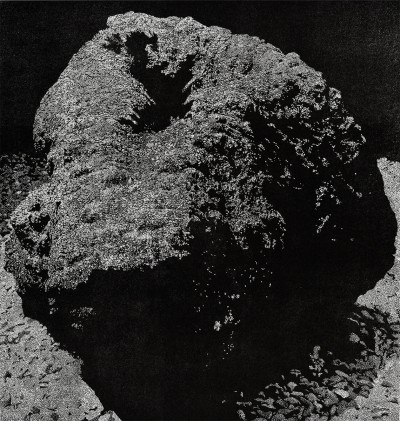 untitled, Linocut, 68 x 63 cm, 2010, Edition of 5 + 2